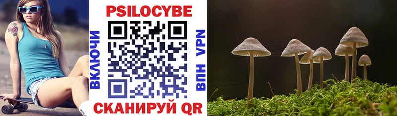 blacksprut маркетплейс  Свирск  Галлюциногенные грибы Psilocybine cubensis 