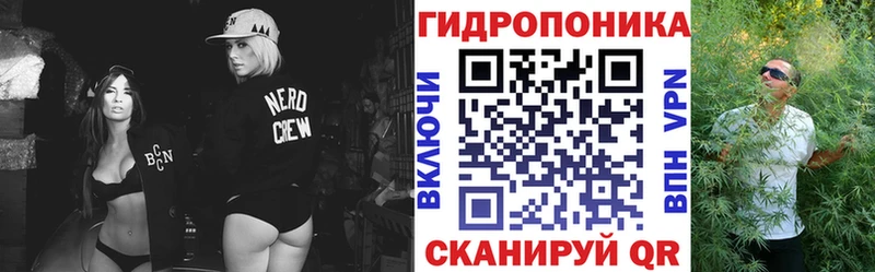 OMG маркетплейс  Свирск  Бошки марихуана планчик 